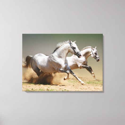 Race de windpaarden canvas afdruk (Voorkant)