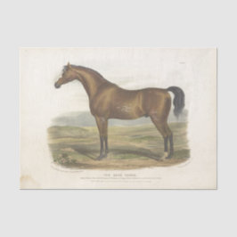 Race Horse Ephemera Decoupage Vintage Tissuepapier