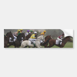Race Horse Field Bumpersticker