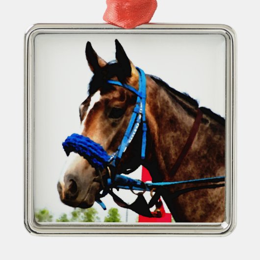Race Horse ornament (Voorkant)