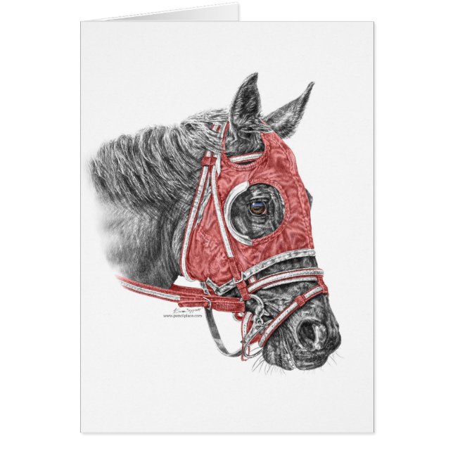 Race Horse Portrait Silks (Voorkant)