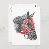 Race Horse Portrait Silks Briefkaart (Voorkant / Achterkant)