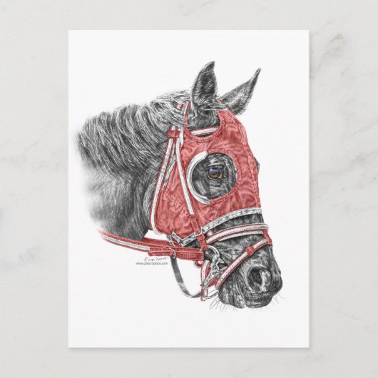 Race Horse Portrait Silks Briefkaart (Voorkant)