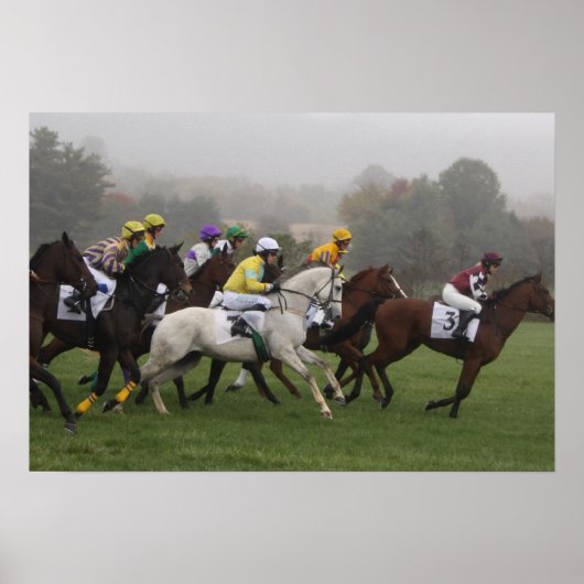 Race Horse Poster Print (Voorkant)