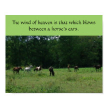 Race Horse Rescue Support Poster