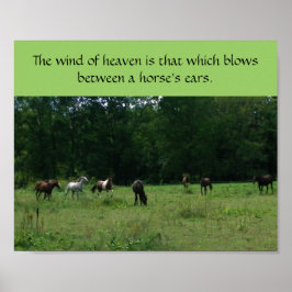 Race Horse Rescue Support Poster