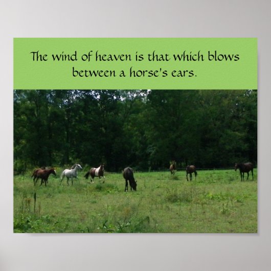 Race Horse Rescue Support Poster (Voorkant)