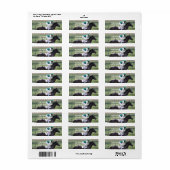Race Paard Galloping Mailing Labels (Full Sheet)