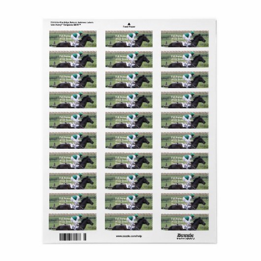 Race Paard Galloping Mailing Labels (Full Sheet)