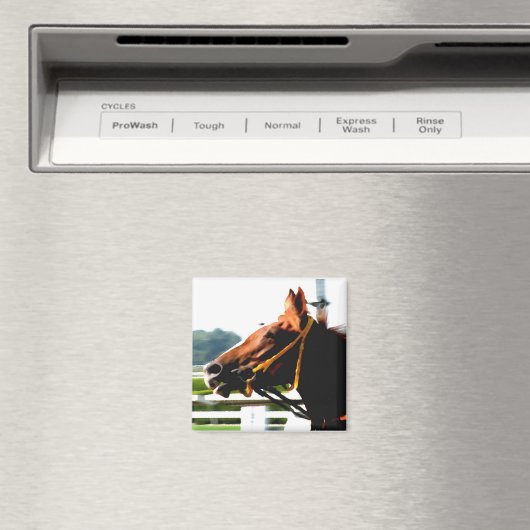 Race Paard magneet (Insitu (Vaatwasser))