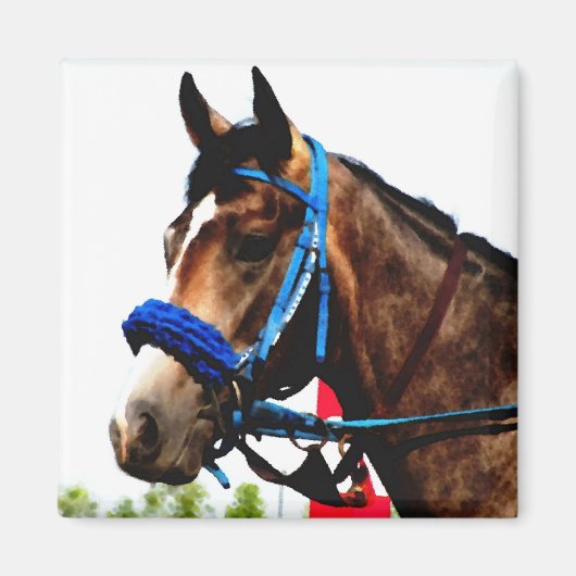 Race Paard magneet (Voorkant)
