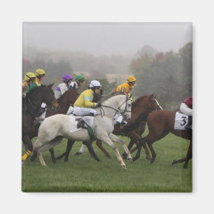 Race Paard Veld Vierkante Magnet