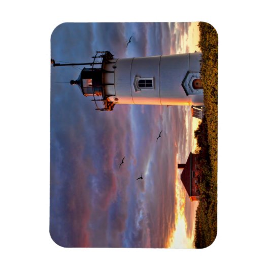Race Point Lighthouse Magneet (Verticaal)