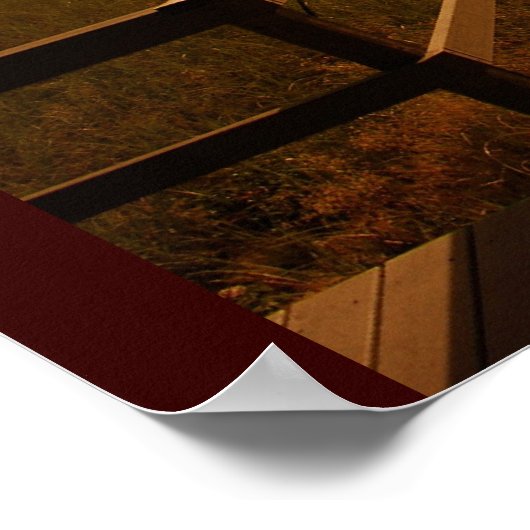 Race Point Poster (Hoek)