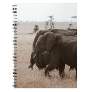 RACE VAN ELEPHANTS NOTITIEBOEK