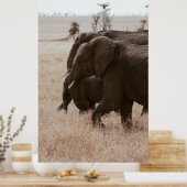 RACE VAN ELEPHANTS POSTER (Keuken)