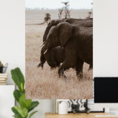 RACE VAN ELEPHANTS POSTER (Thuiskantoor)