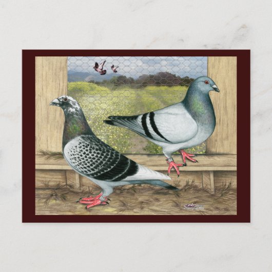 Racefuisters in Loft Briefkaart (Voorkant)