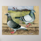 Racefuisters in Loft Poster (Voorkant)