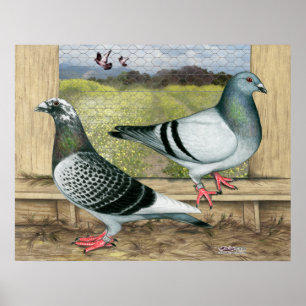 Racefuisters in Loft Poster