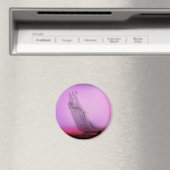  racejacht Magnet (Insitu (Vaatwasser))