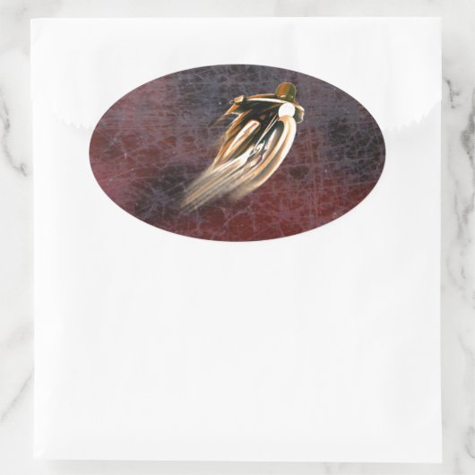 RACEMOTORFIETS. OVALE STICKER (Tas)