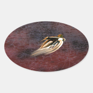  RACEMOTORFIETS. OVALE STICKER