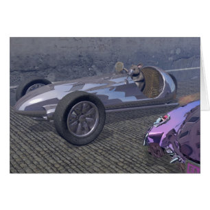 Racemuis