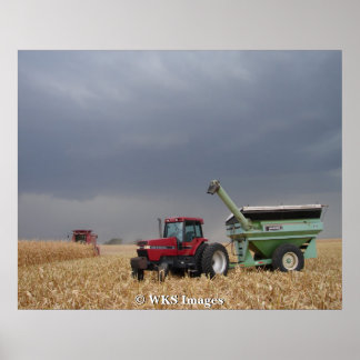 Racen van het Storm Poster