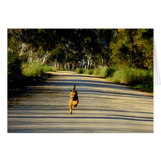 Racen voor jou! (Voorkant Horizontaal)