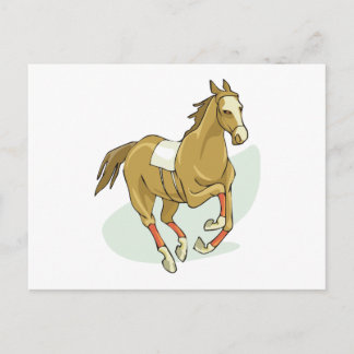 Racepaard Silks Horse Runps Gallps Trots Races Briefkaart
