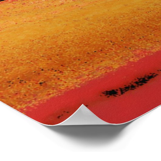 races in kleur poster (Hoek)