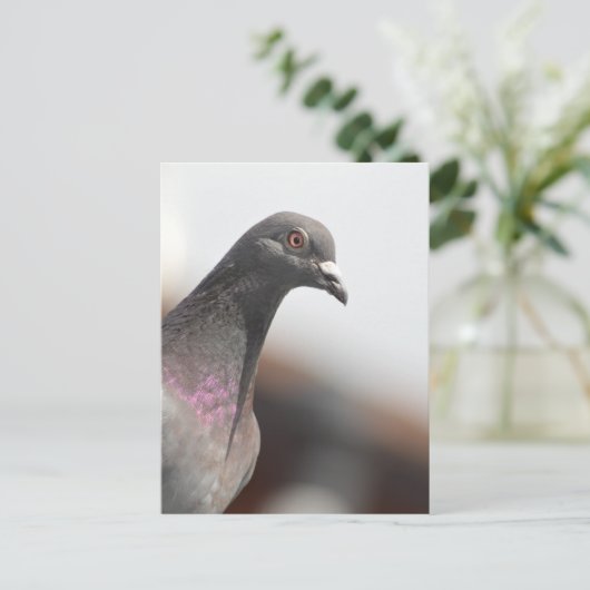 Racestuif Briefkaart (Staand voorkant)