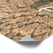 Racetrack Playa Poster (Hoek)