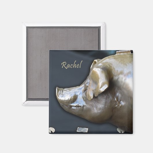 RACHEL DE SPAARVARKEN magneet (Voorkant / Achterkant)