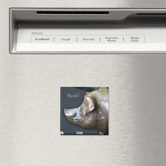 RACHEL DE SPAARVARKEN magneet (Insitu (Vaatwasser))