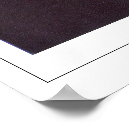 Rachel Ruysch Zedign Art Poster #14 (Hoek)