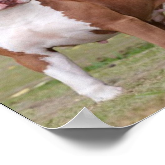 Raciale profilering poster (Hoek)