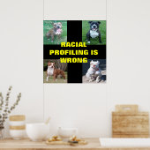 Raciale profilering poster (Keuken)