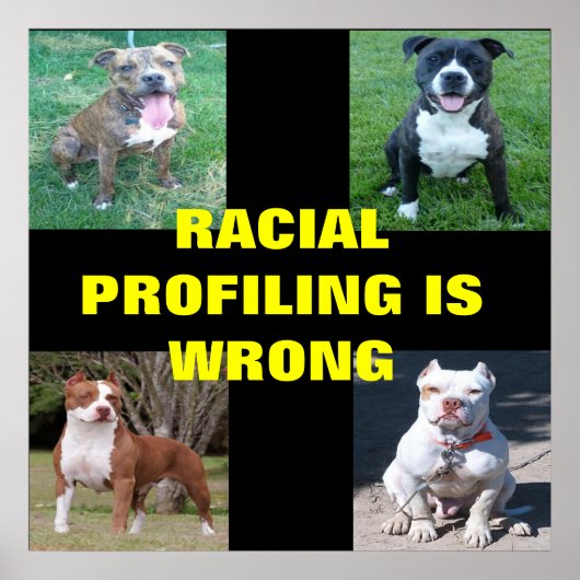 Raciale profilering poster (Voorkant)