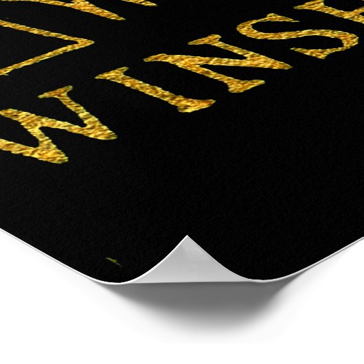 RACINE WISCONSIN WINDMILL WINSHIP MFG CO 1889 POSTER (Hoek)