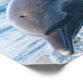 Racing Bottlenose Dolphins Duo Kantoor en Dorm Poster (Hoek)