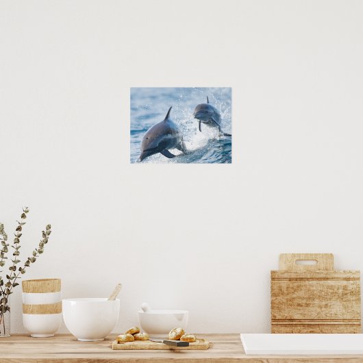 Racing Bottlenose Dolphins Duo Kantoor en Dorm Poster (Keuken)