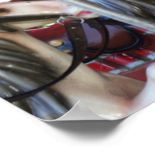 Racing Carrousel Paarden Poster (Hoek)