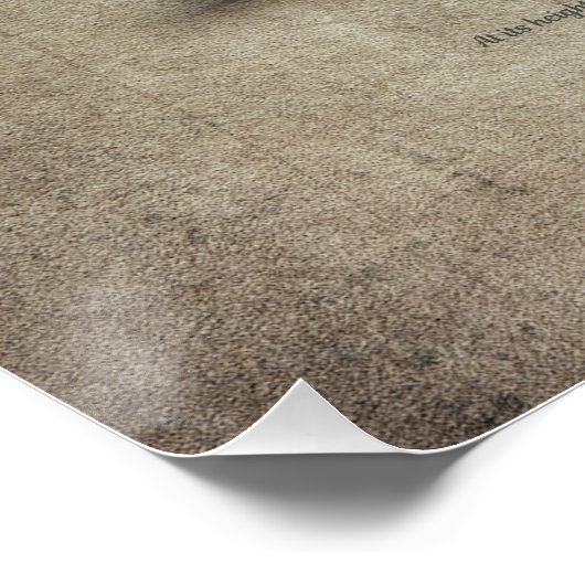 Racing Colours of Monaco Perfect Poster (Hoek)