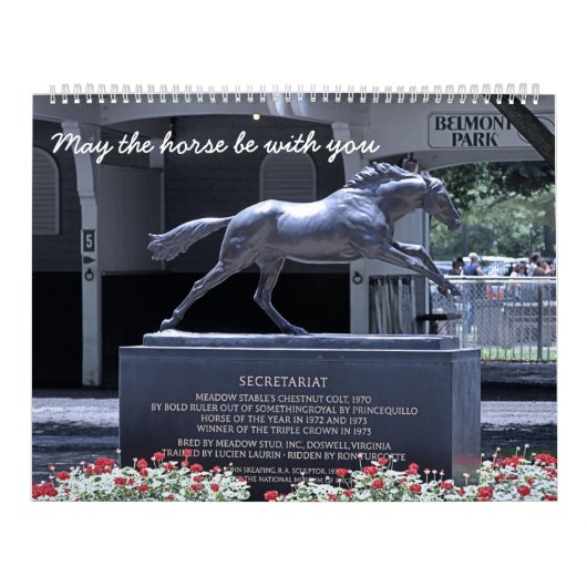 Racing Fan Kalender (Hoes)