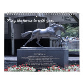 Racing Fan Kalender (Hoes)