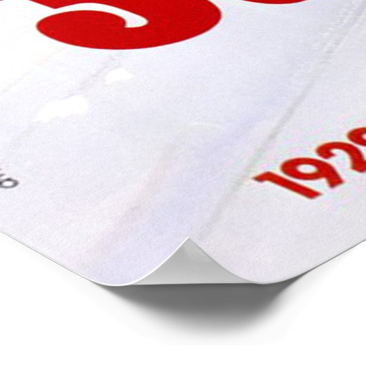 Racing  Grand Prix Monaco 79 Poster (Hoek)