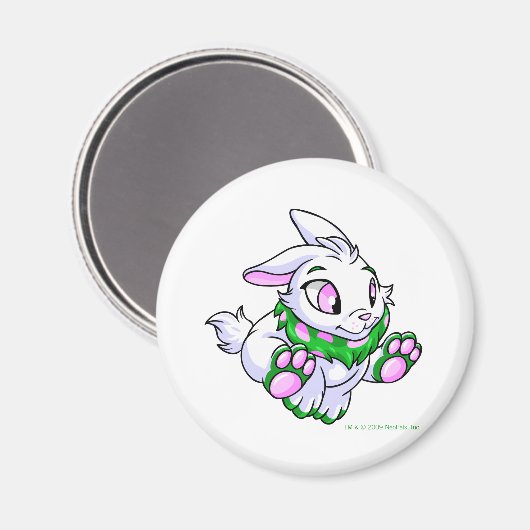 Racing green Cybunny Magneet (Voorkant / Achterkant)