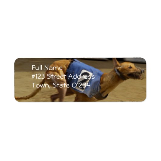 Racing Greyhound Hond Mailing Label (Voorkant)